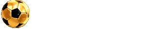 Wondawin Logo GIF